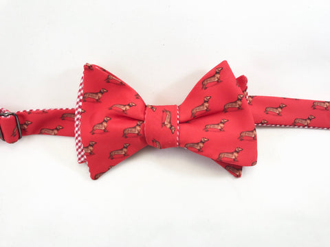 Dachshund Bow Tie