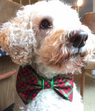 Christmas Bow Ties for Dogs - Festive Patterns