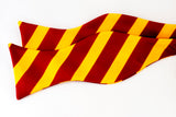 College Stripe - gold & red