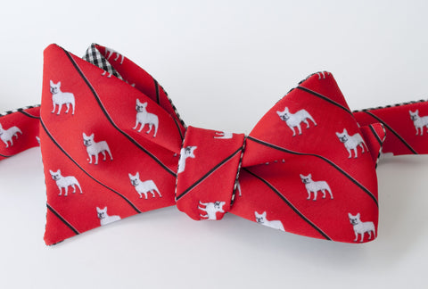 French Bulldog Bow Tie - white dog