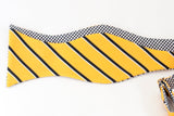 College Stripe - gold & black