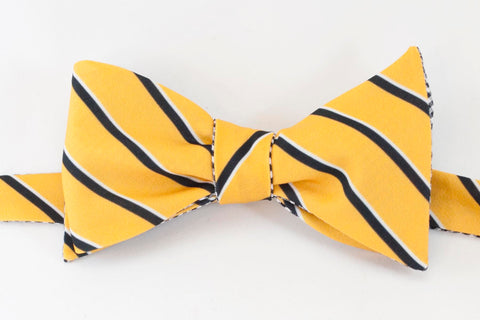 College Stripe - gold & black