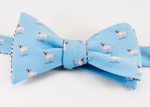 Labrador Retriever Bow Tie - blue