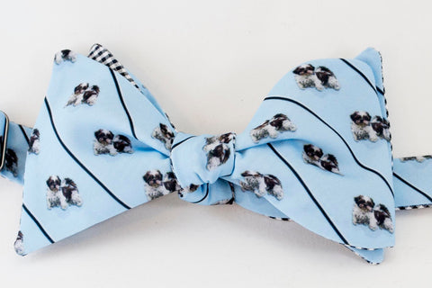 Shih Tzu Dog Bow Tie-blue